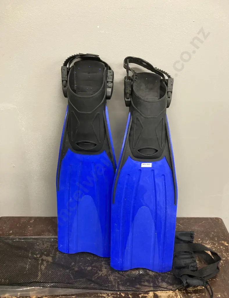 Pair of L-XL Fins Image 1++